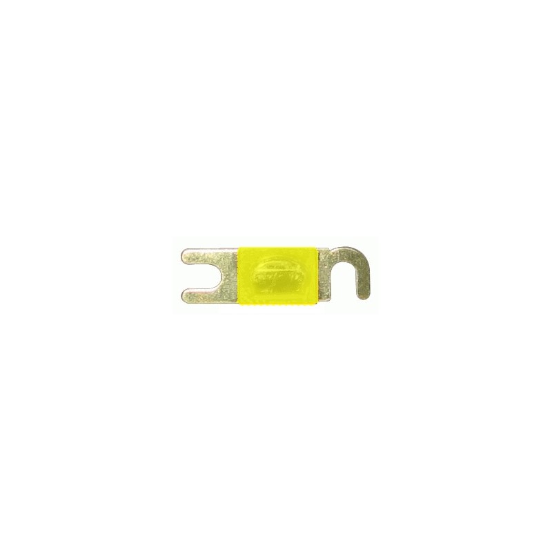 FUSIBILE AFC 100 AMPERE (4 PZ)
