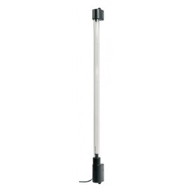 PNL58, Plasma Neon-Light 12V - 58 cm - Rosso