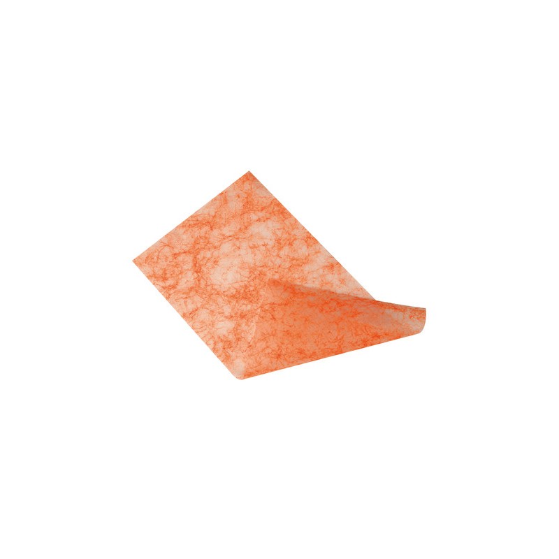 Salviette per vernici e macchie molto resistenti - 25 pz Salviette per vernici e macchie molto resistenti - 25 pz