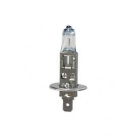 12V Night Breaker Plus - H1 - 55W - P14,5s - 2 pz - Blister