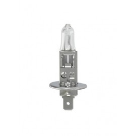24V Truckstar Pro 64155TSP - H1 - 70W - P14,5s - 1 pz - Scatola
