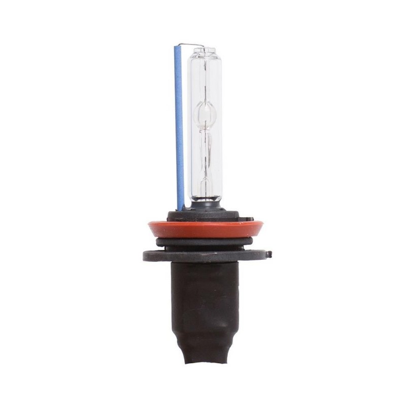 lampadina HID H8 (fascio singolo) 6000°K