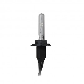 lampadina HID HB3 (fascio singolo) 6000°K