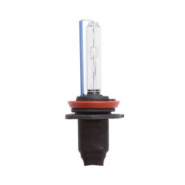lampadina HID H11 (fascio singolo) 6000° K