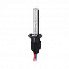 lampadina HID H1 (fascio singolo) 6000° K