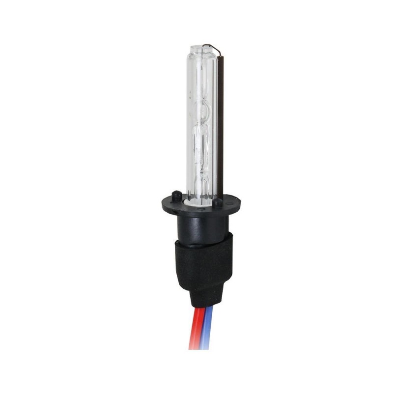 lampadina HID H1 (fascio singolo) 6000° K lampadina HID H1 (fascio singolo) 6000° K