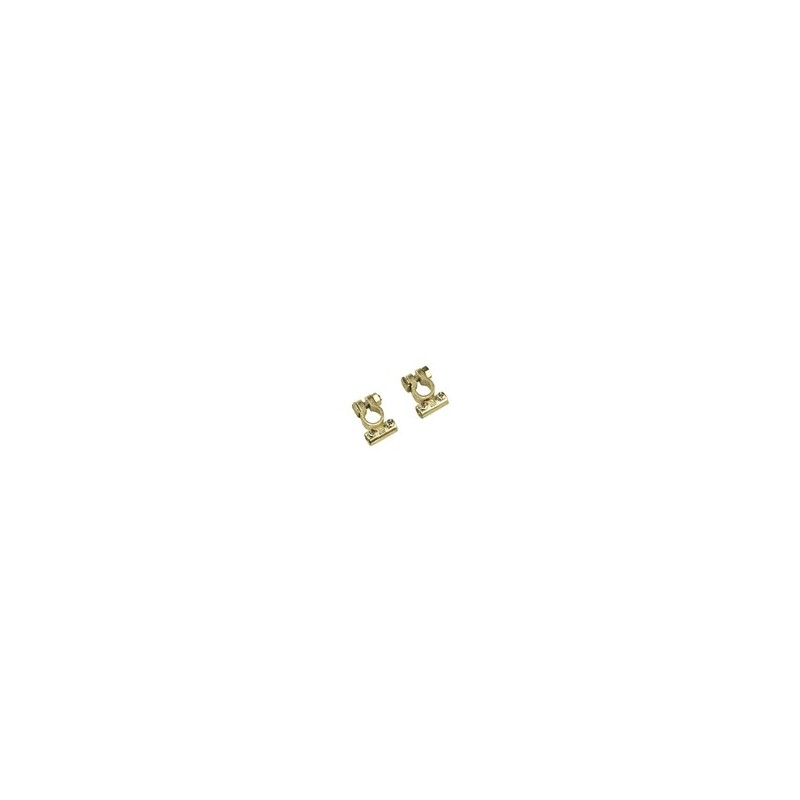 Coppia morsetti batteria standard