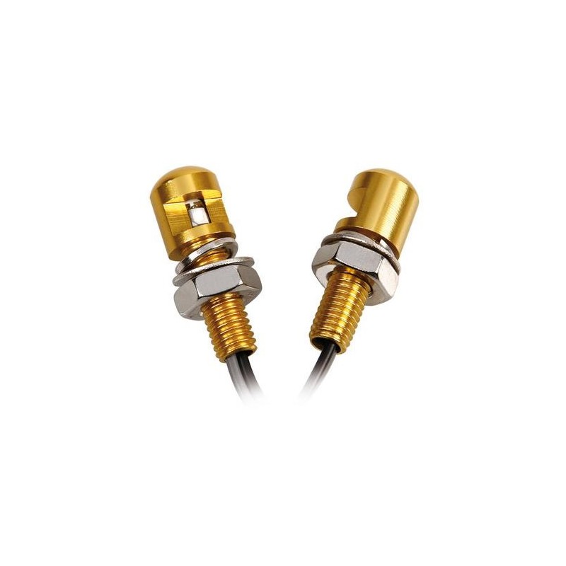 Set 2 viti con Led a luce bianca - Oro