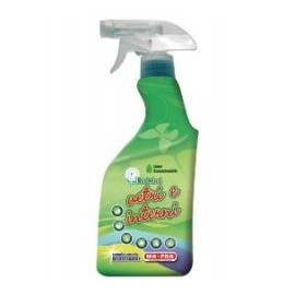 Detergente Vetri e Interni Ecolabel 500ML