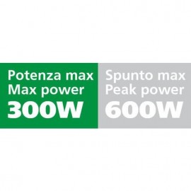 Power Inverter 300