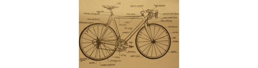 Bici, bicicletta, atala, bianchini, pedali, raggi, sella, manubbi, borracce,
